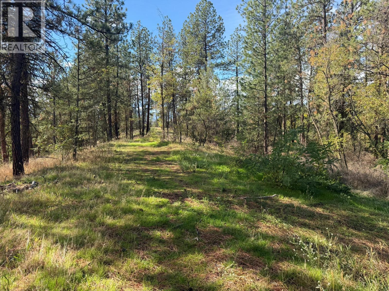 5440 Silver Star Road