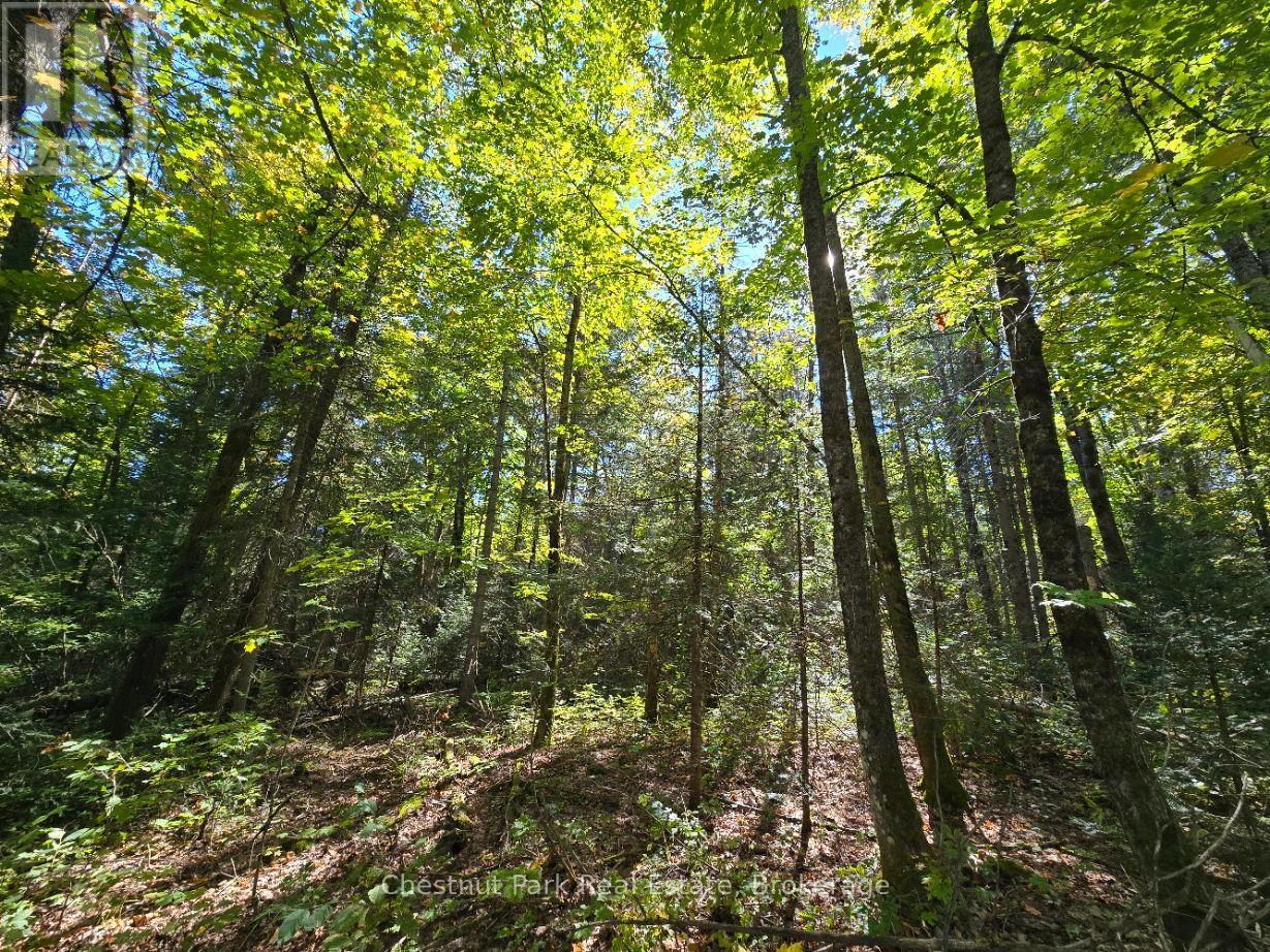 Lt 32 Pt 8 Gibbons Road, Strong, Ontario  P0A 1Z0 - Photo 11 - X14090330