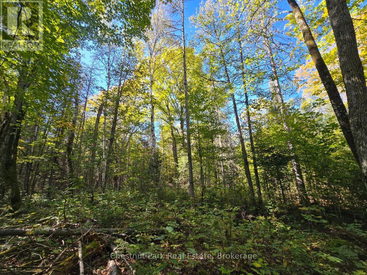 Lt 32 Pt 8 Gibbons Road, Strong, Ontario  P0A 1Z0 - Photo 12 - X14090330