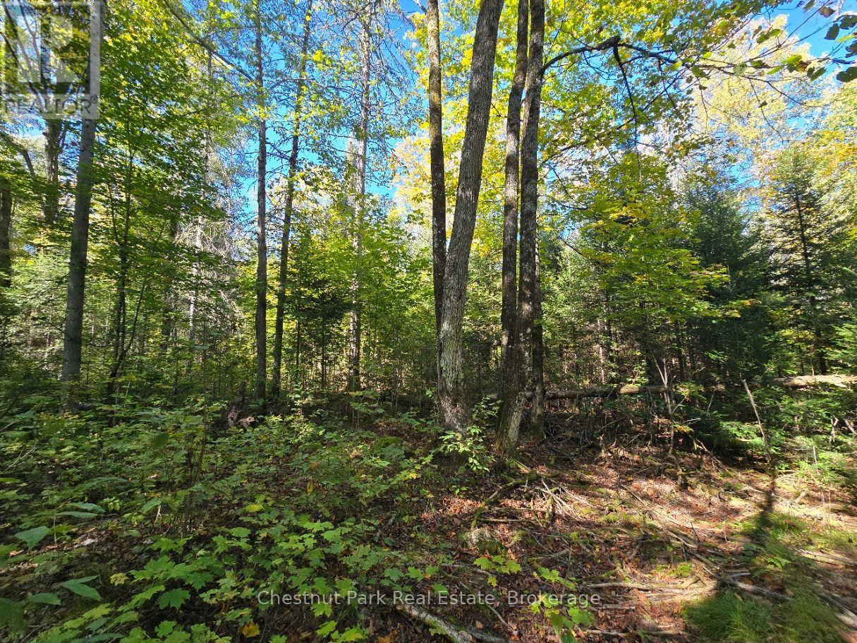 Lt 32 Pt 8 Gibbons Road, Strong, Ontario  P0A 1Z0 - Photo 13 - X14090330
