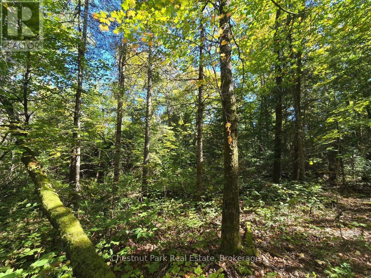 Lt 32 Pt 8 Gibbons Road, Strong, Ontario  P0A 1Z0 - Photo 14 - X14090330