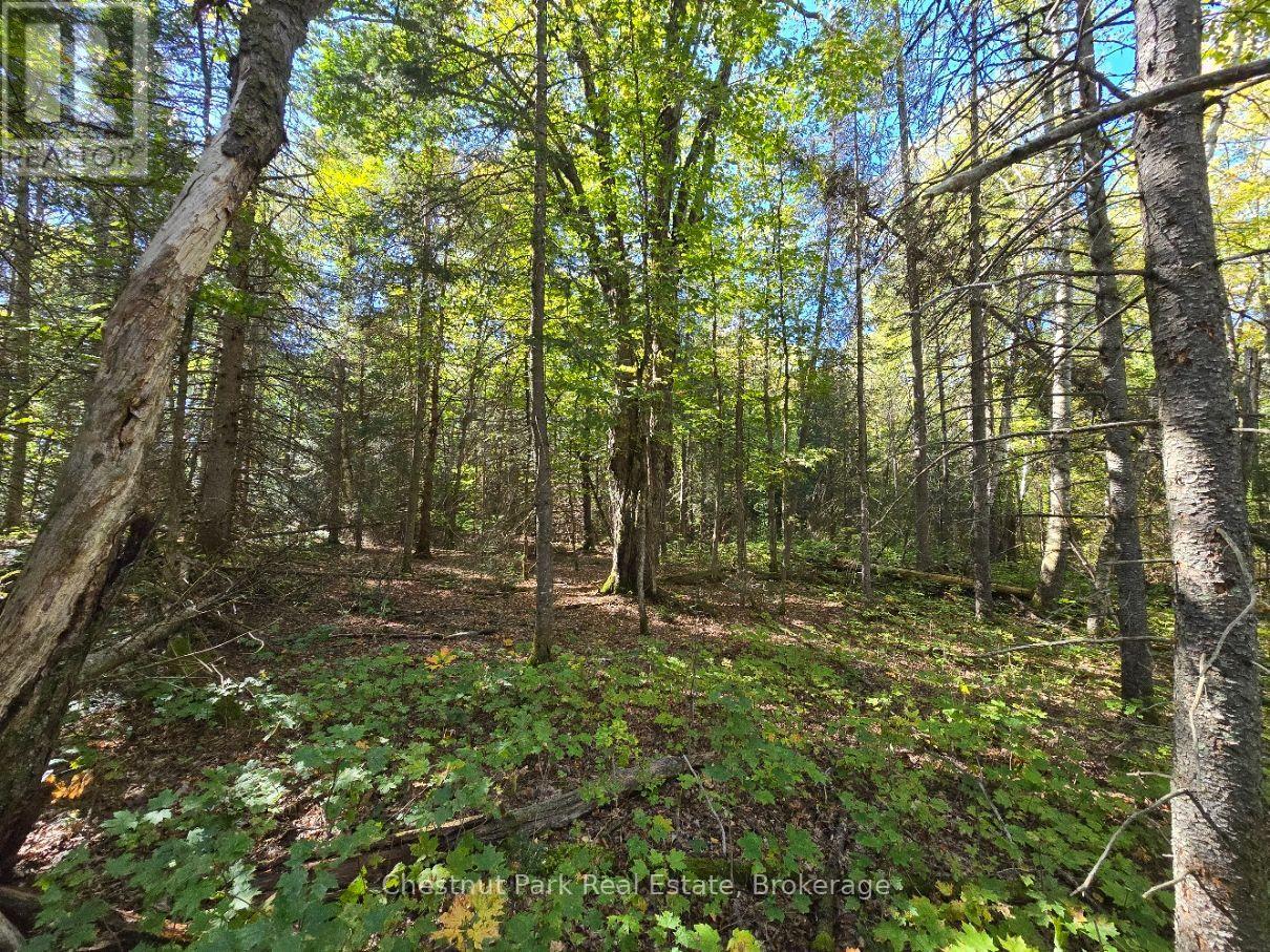 Lt 32 Pt 8 Gibbons Road, Strong, Ontario  P0A 1Z0 - Photo 15 - X14090330