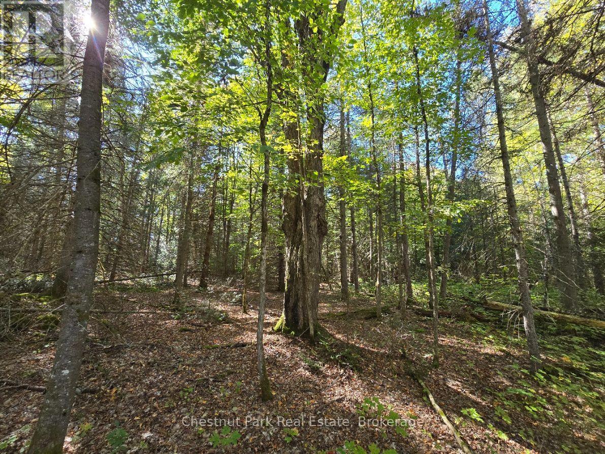 Lt 32 Pt 8 Gibbons Road, Strong, Ontario  P0A 1Z0 - Photo 16 - X14090330