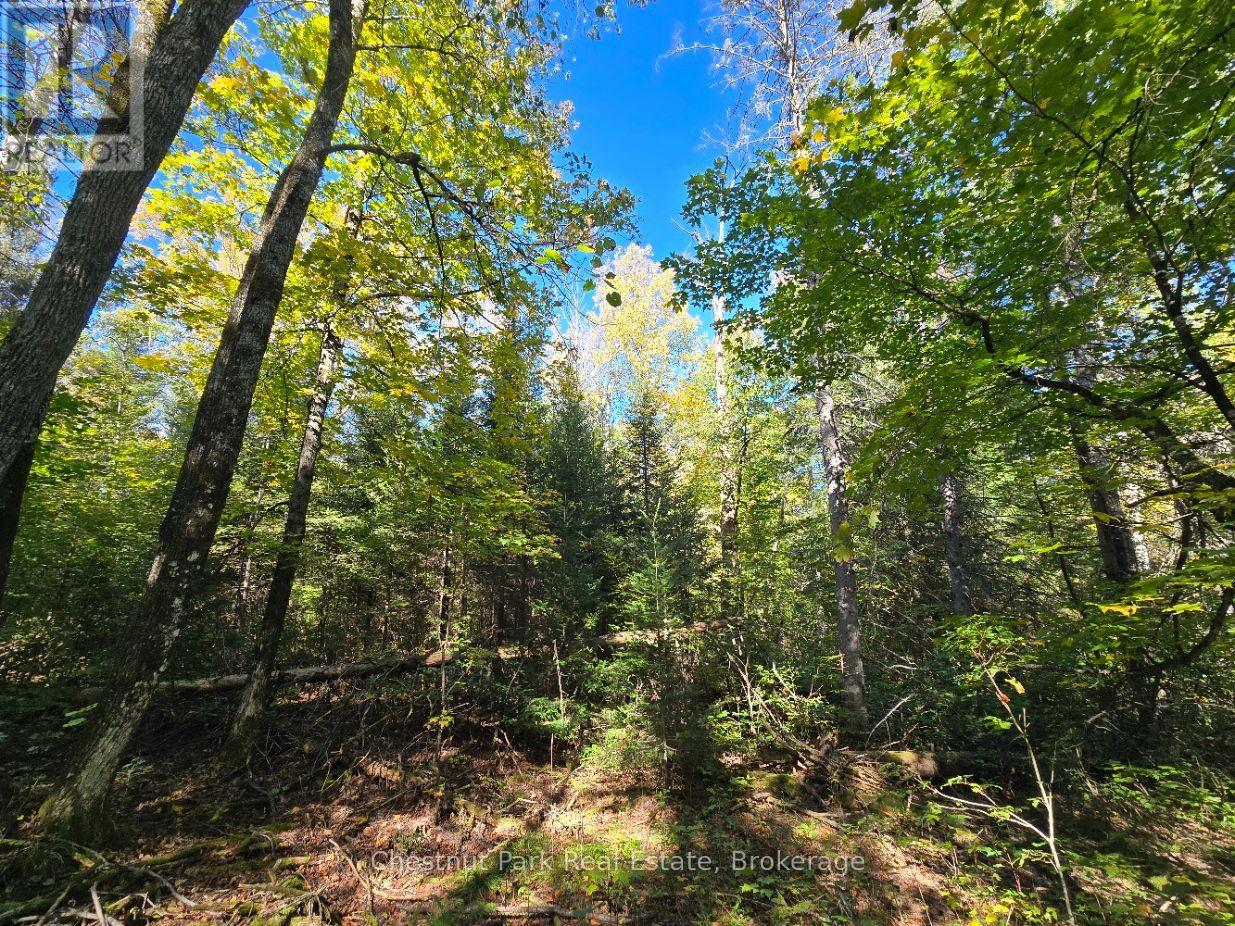 Lt 32 Pt 8 Gibbons Road, Strong, Ontario  P0A 1Z0 - Photo 18 - X14090330