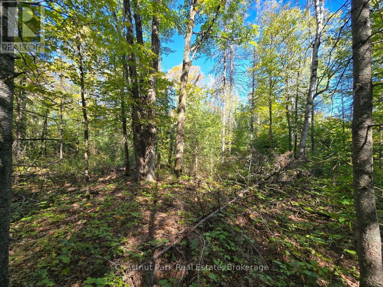 Lt 32 Pt 8 Gibbons Road, Strong, Ontario  P0A 1Z0 - Photo 19 - X14090330