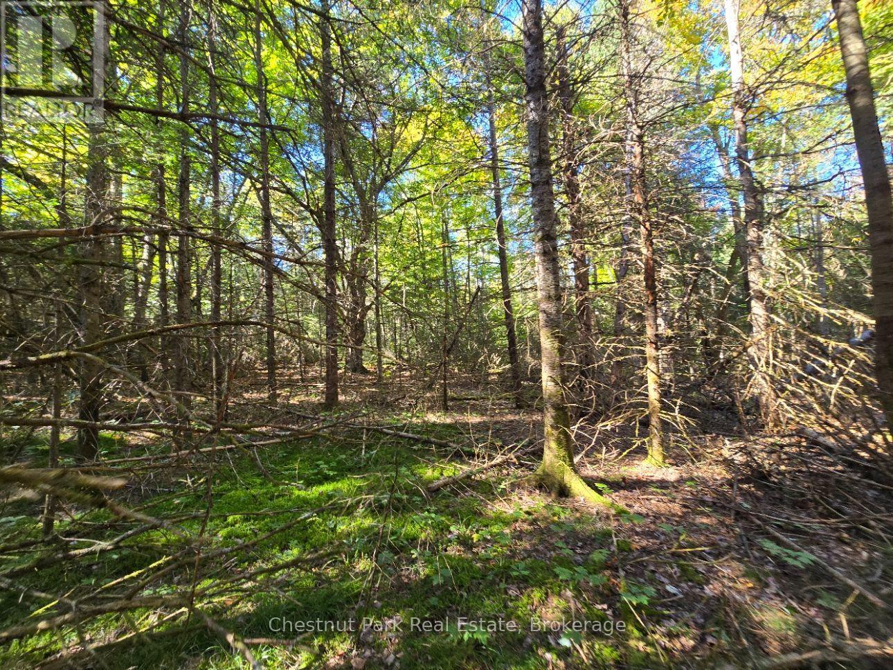 Lt 32 Pt 8 Gibbons Road, Strong, Ontario  P0A 1Z0 - Photo 20 - X14090330