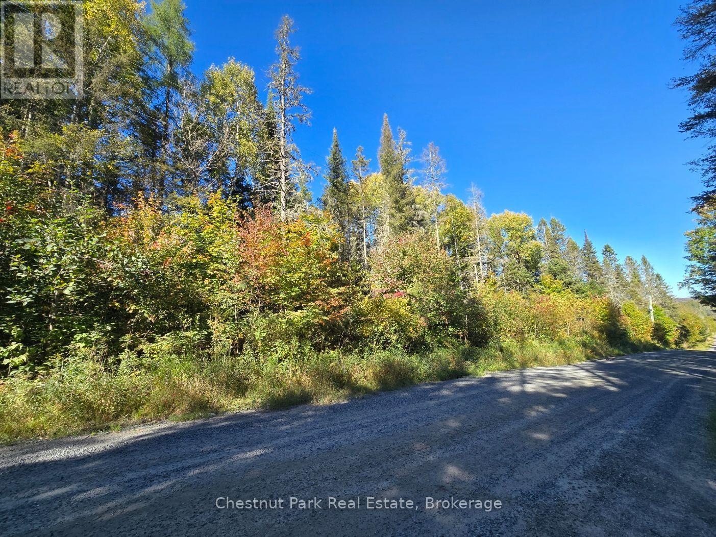 Lt 32 Pt 8 Gibbons Road, Strong, Ontario  P0A 1Z0 - Photo 21 - X14090330