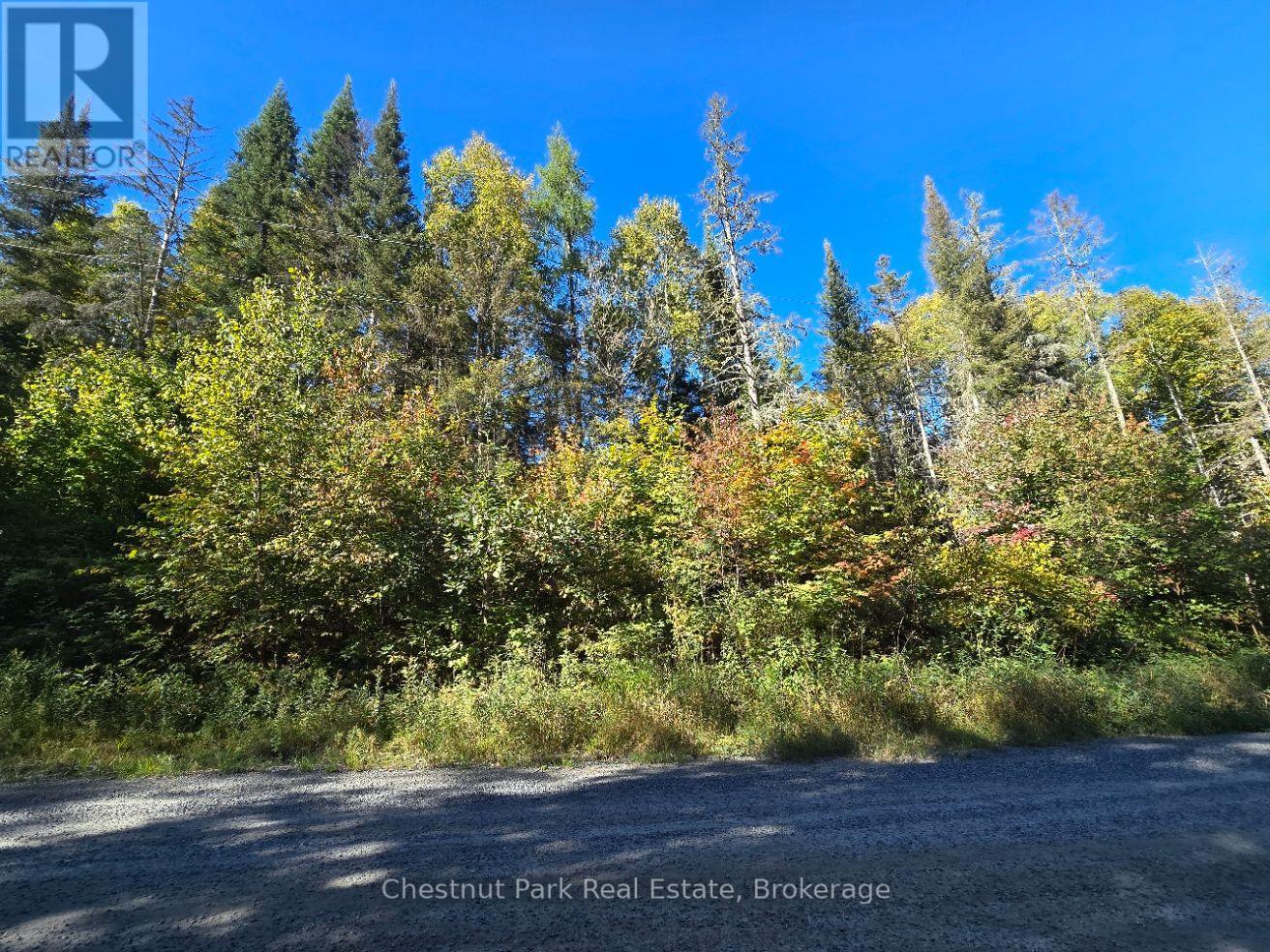 Lt 32 Pt 8 Gibbons Road, Strong, Ontario  P0A 1Z0 - Photo 22 - X14090330