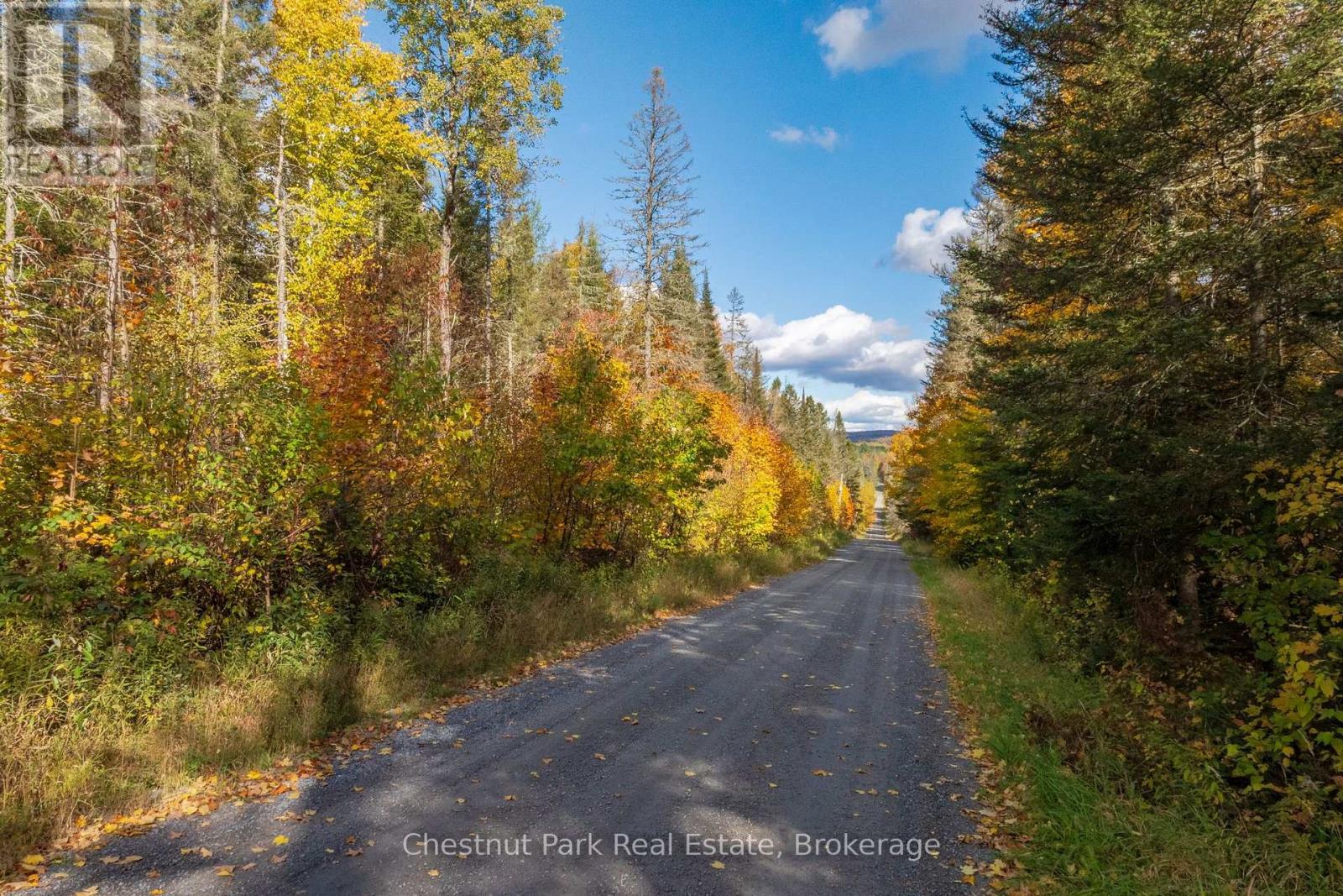 Lt 32 Pt 8 Gibbons Road, Strong, Ontario  P0A 1Z0 - Photo 24 - X14090330