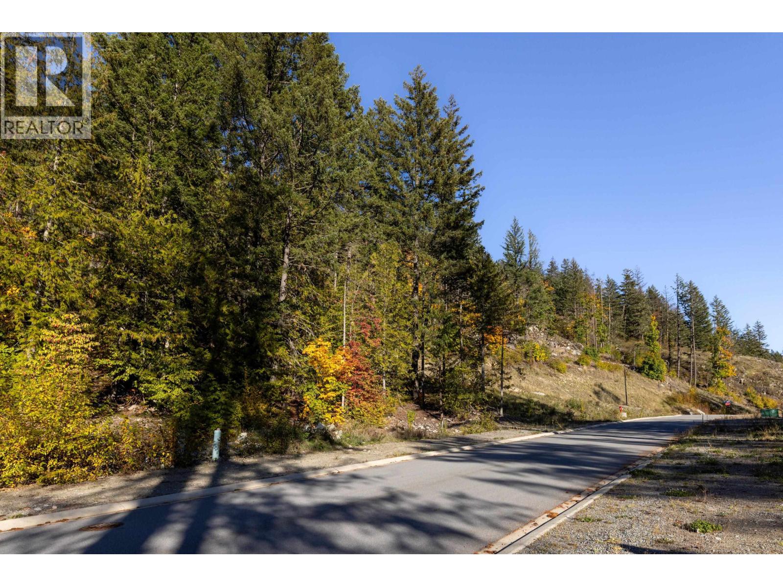 8203 Merlot Peak Drive, Pemberton, British Columbia  V0N 2L3 - Photo 13 - R3176351
