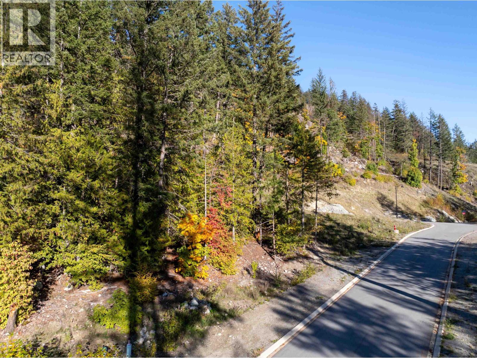 8203 Merlot Peak Drive, Pemberton, British Columbia  V0N 2L3 - Photo 14 - R3176351