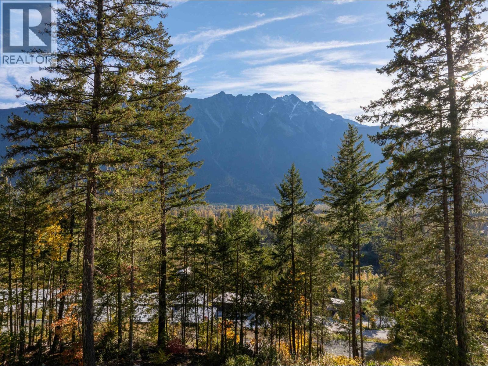 8203 Merlot Peak Drive, Pemberton, British Columbia  V0N 2L3 - Photo 19 - R3176351