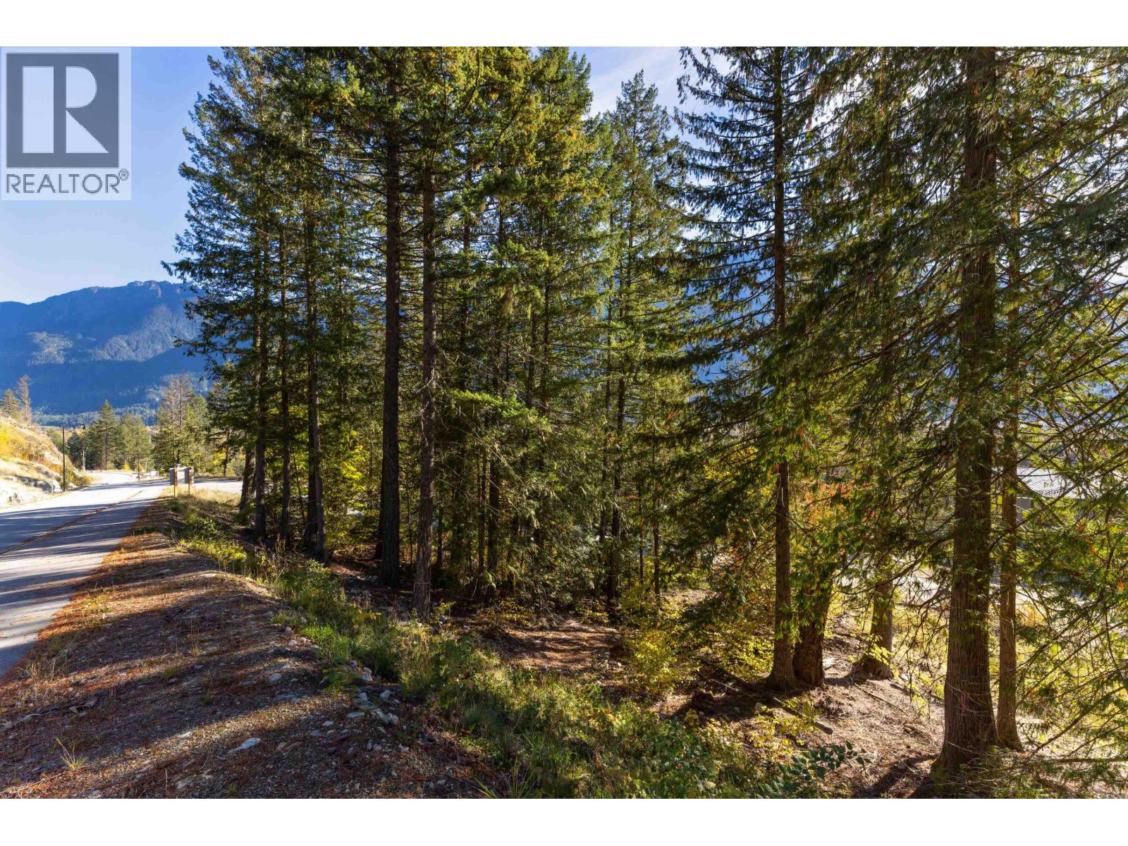8203 Merlot Peak Drive, Pemberton, British Columbia  V0N 2L3 - Photo 4 - R3176351