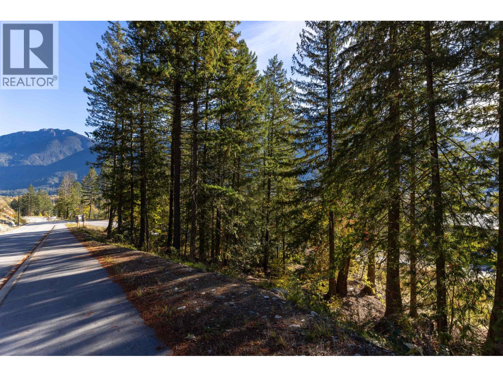 8203 Merlot Peak Drive, Pemberton, British Columbia  V0N 2L3 - Photo 5 - R3176351