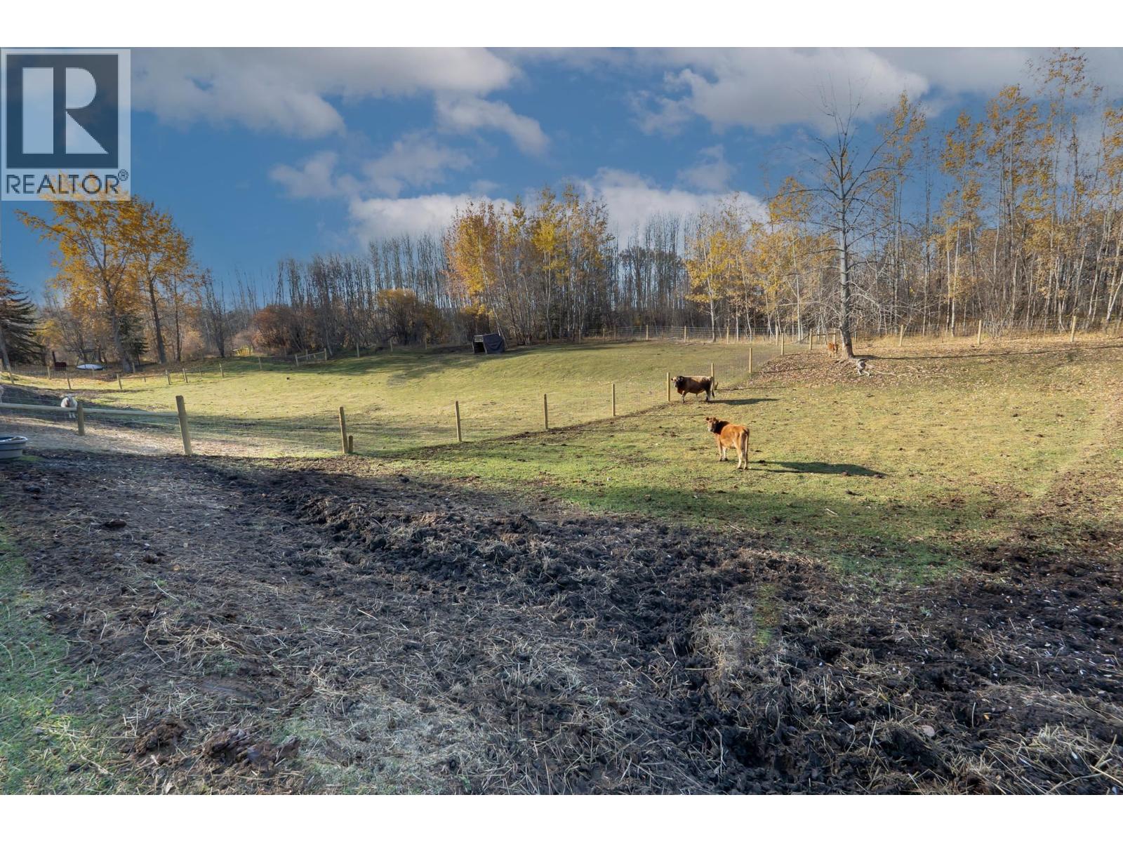 2931 Sackner Road, Vanderhoof, British Columbia  V0J 3A2 - Photo 16 - R3176242
