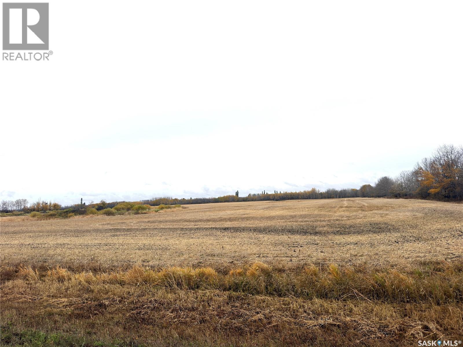 Hall Farmland, Hudson Bay Rm No. 394, Saskatchewan  S0E 0Y0 - Photo 2 - SK051359