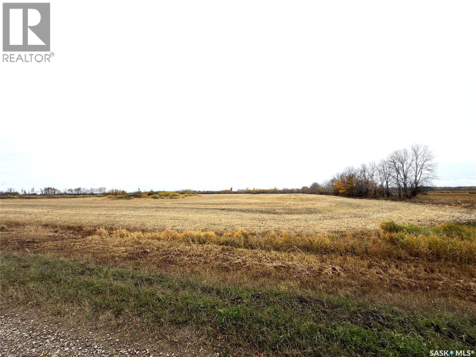 Hall Farmland, Hudson Bay Rm No. 394, Saskatchewan  S0E 0Y0 - Photo 3 - SK051359