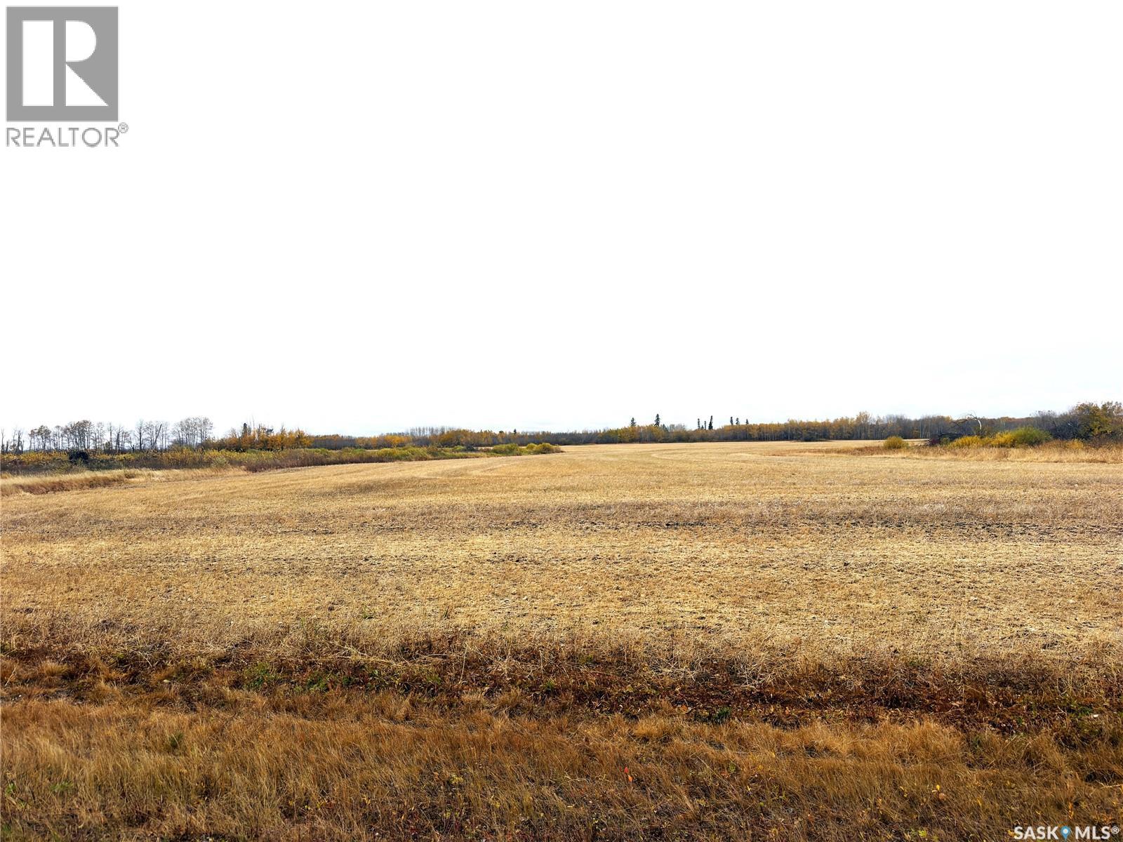 Hall Farmland, Hudson Bay Rm No. 394, Saskatchewan  S0E 0Y0 - Photo 4 - SK051359
