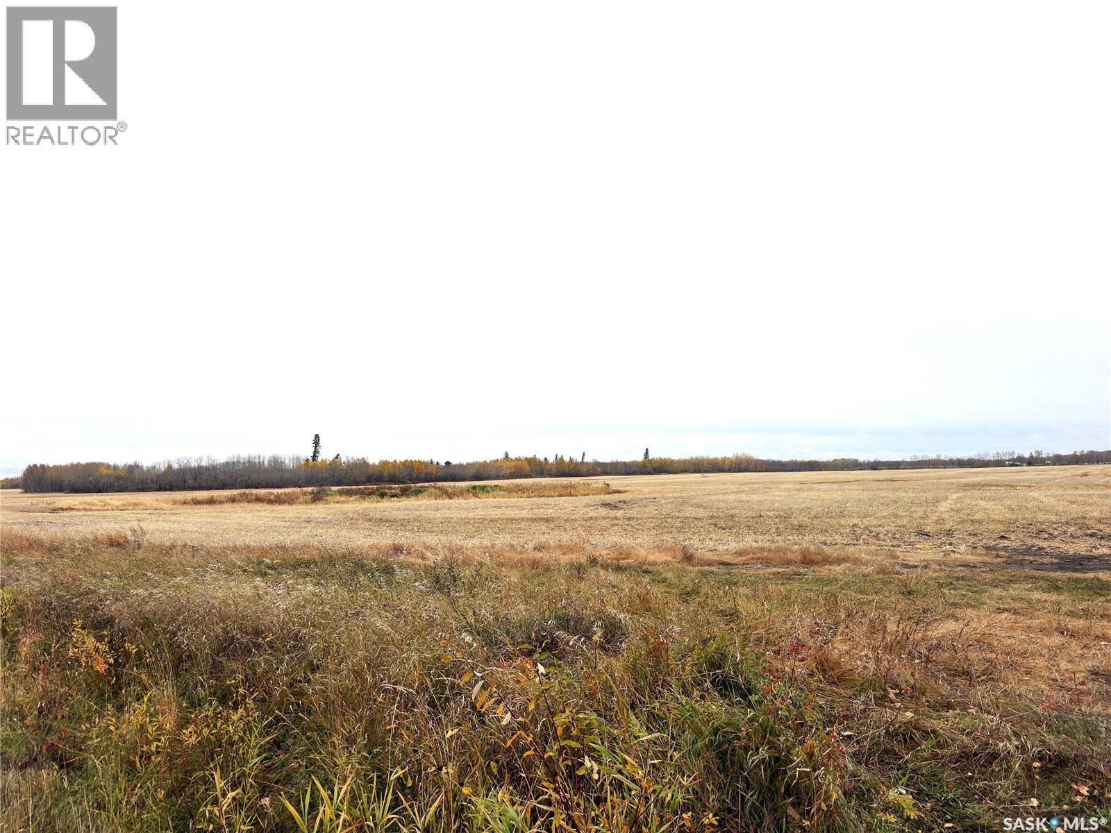 Hall Farmland, Hudson Bay Rm No. 394, Saskatchewan  S0E 0Y0 - Photo 5 - SK051359
