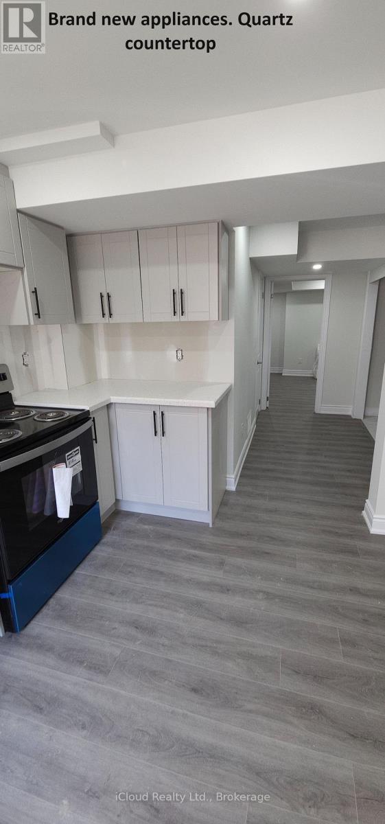 Bsmt - 1133 Windbrook Grove, Mississauga, Ontario  L5V 2V2 - Photo 3 - W14090842