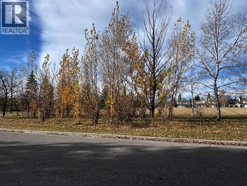 1515 Sunvista Way Se, Calgary, Alberta  T2X 3G3 - Photo 3 - A2353053