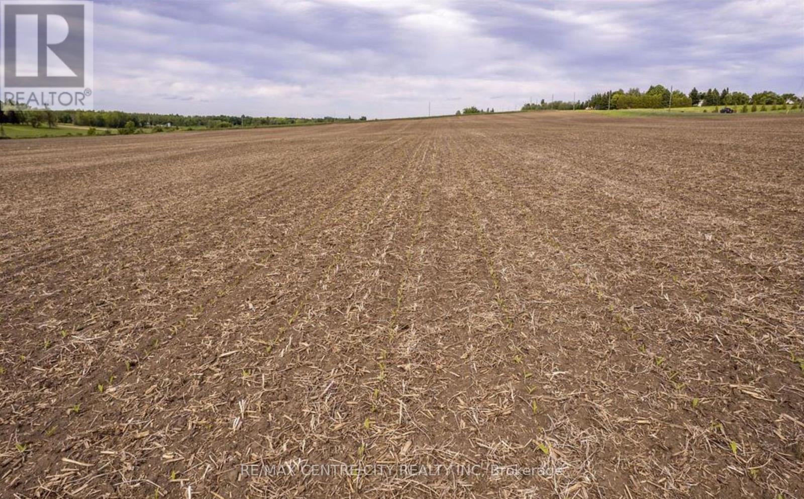 19267 County 25 Road, South Glengarry, Ontario  K0C 1B0 - Photo 4 - X14091198