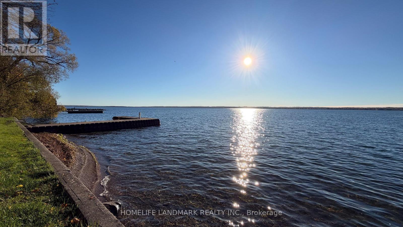 100 Lake Drive N, Georgina, Ontario  L4P 1A9 - Photo 3 - N14088216