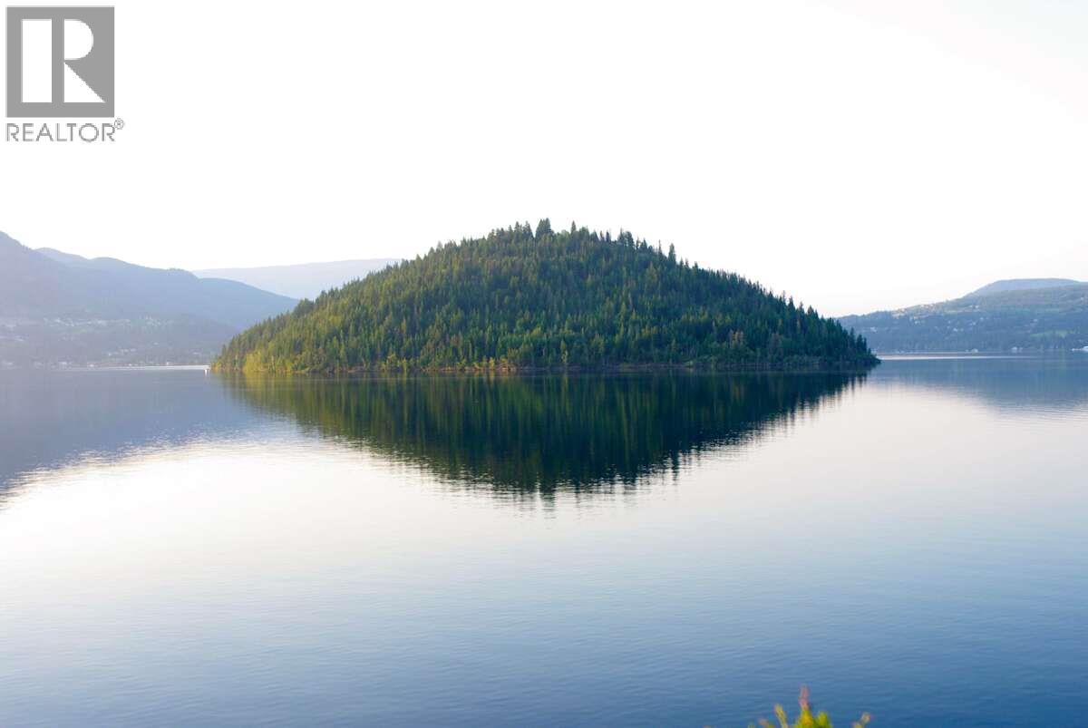 4370 Copper Cove Road, Scotch Creek, British Columbia  V0E 1M5 - Photo 16 - 10385087