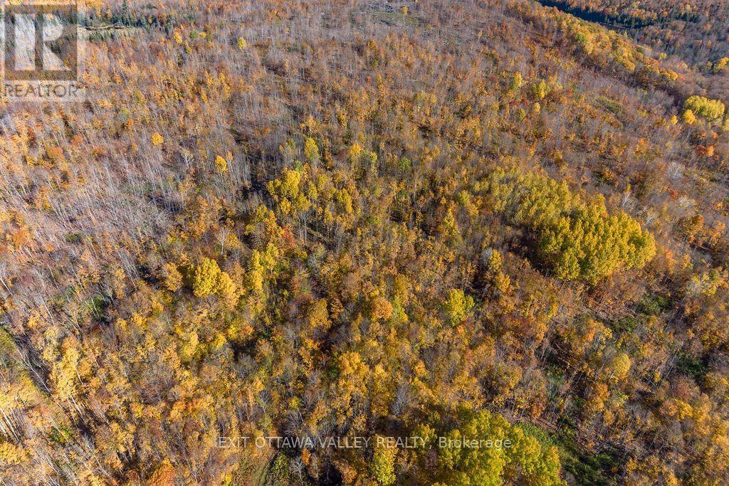 00 Rosien Road, Bonnechere Valley, Ontario  K0J 1T0 - Photo 40 - X13885222