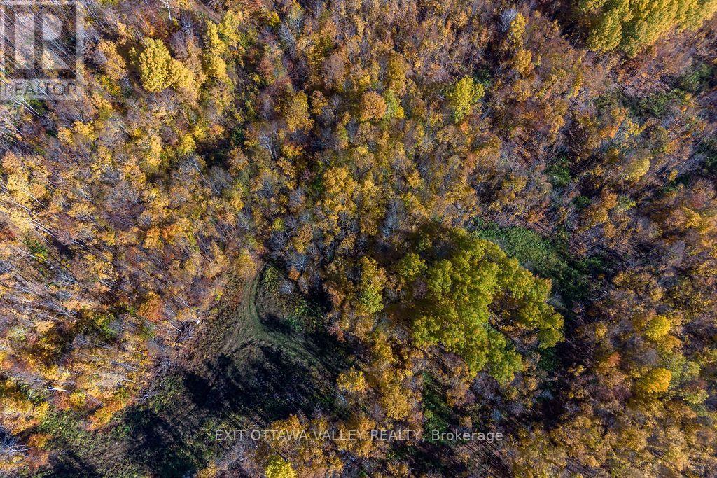 00 Rosien Road, Bonnechere Valley, Ontario  K0J 1T0 - Photo 39 - X13885222