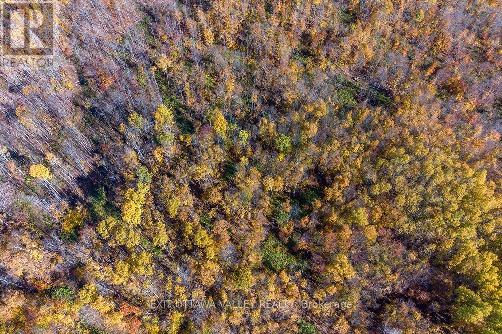 00 Rosien Road, Bonnechere Valley, Ontario  K0J 1T0 - Photo 38 - X13885222