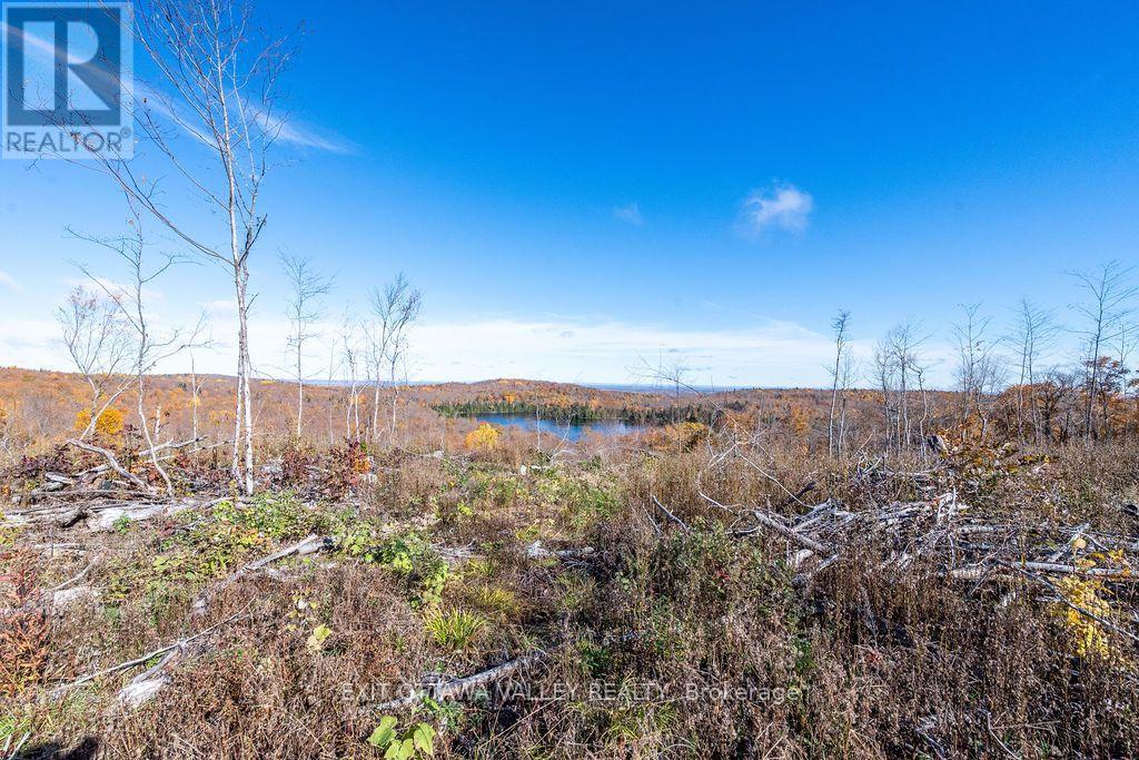 00 Rosien Road, Bonnechere Valley, Ontario  K0J 1T0 - Photo 18 - X13885222