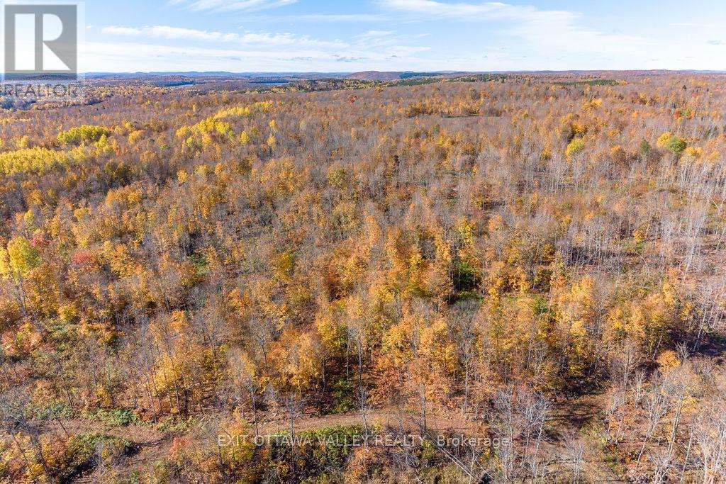 00 Rosien Road, Bonnechere Valley, Ontario  K0J 1T0 - Photo 22 - X13885222