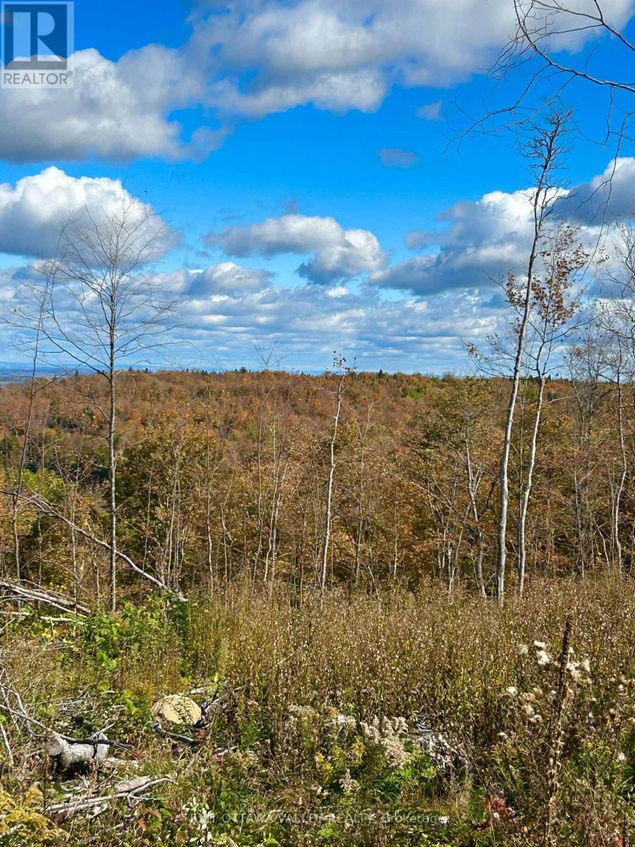 00 Rosien Road, Bonnechere Valley, Ontario  K0J 1T0 - Photo 15 - X13885222