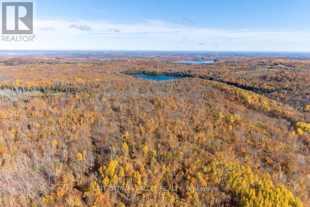00 Rosien Road, Bonnechere Valley, Ontario  K0J 1T0 - Photo 43 - X13885222