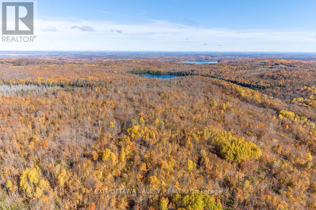 00 Rosien Road, Bonnechere Valley, Ontario  K0J 1T0 - Photo 42 - X13885222