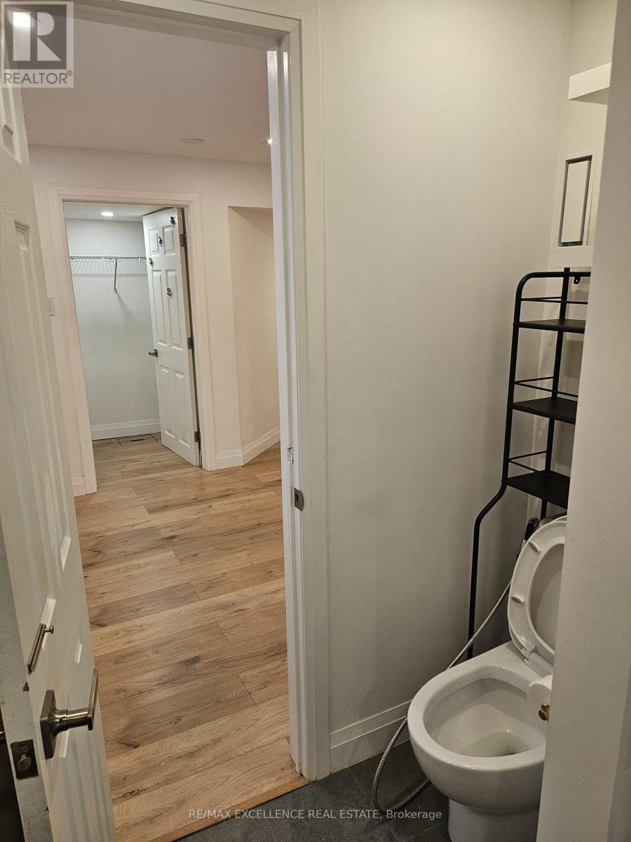 Walkout Basement - 46 Tradewinds Place, Kitchener, Ontario  N2N 3G4 - Photo 11 - X13734094