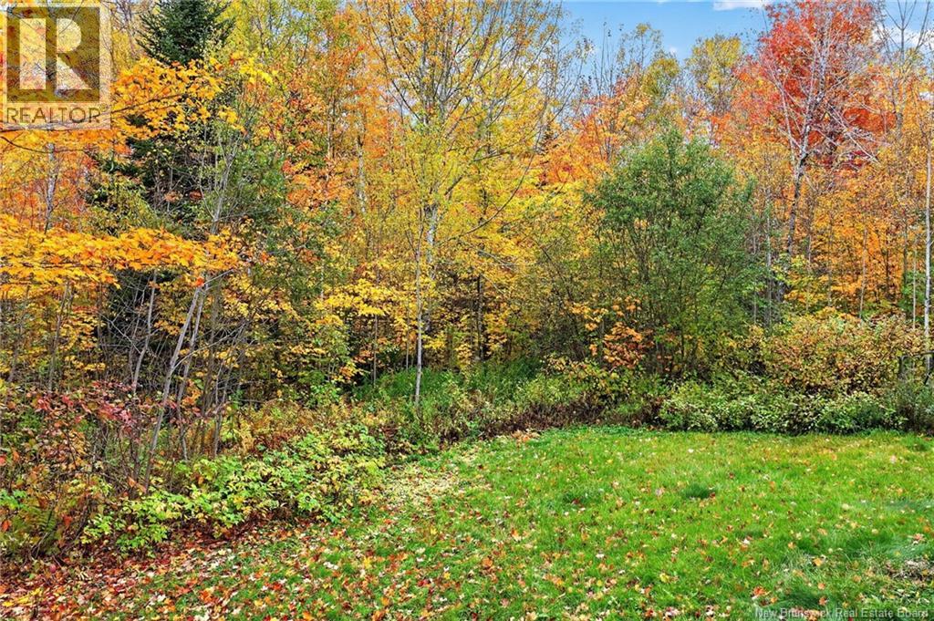 4075 Route 910, Shenstone, New Brunswick  E4H 4G6 - Photo 40 - NB147239