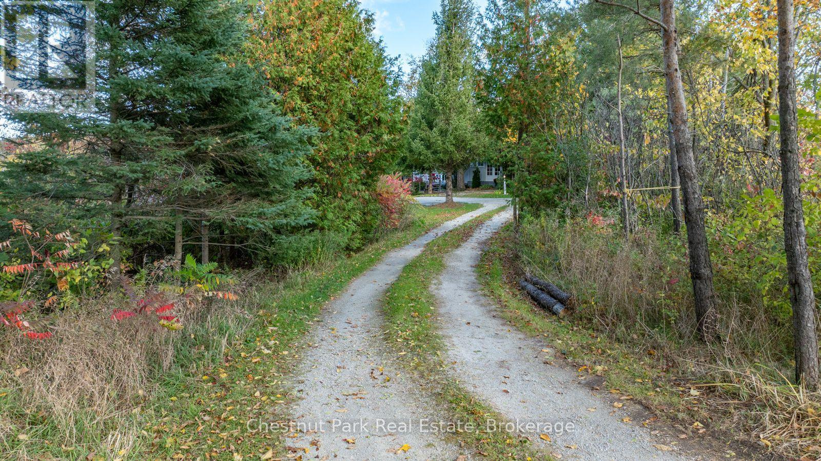 729297 21st Side Road, Blue Mountains, Ontario  N0H 1J0 - Photo 5 - X13456170