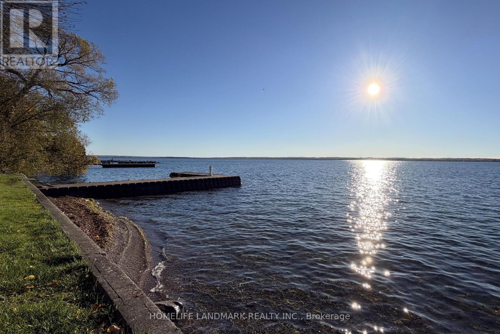 100 Lake Drive N, Georgina, Ontario  L4P 1A9 - Photo 3 - N14088216