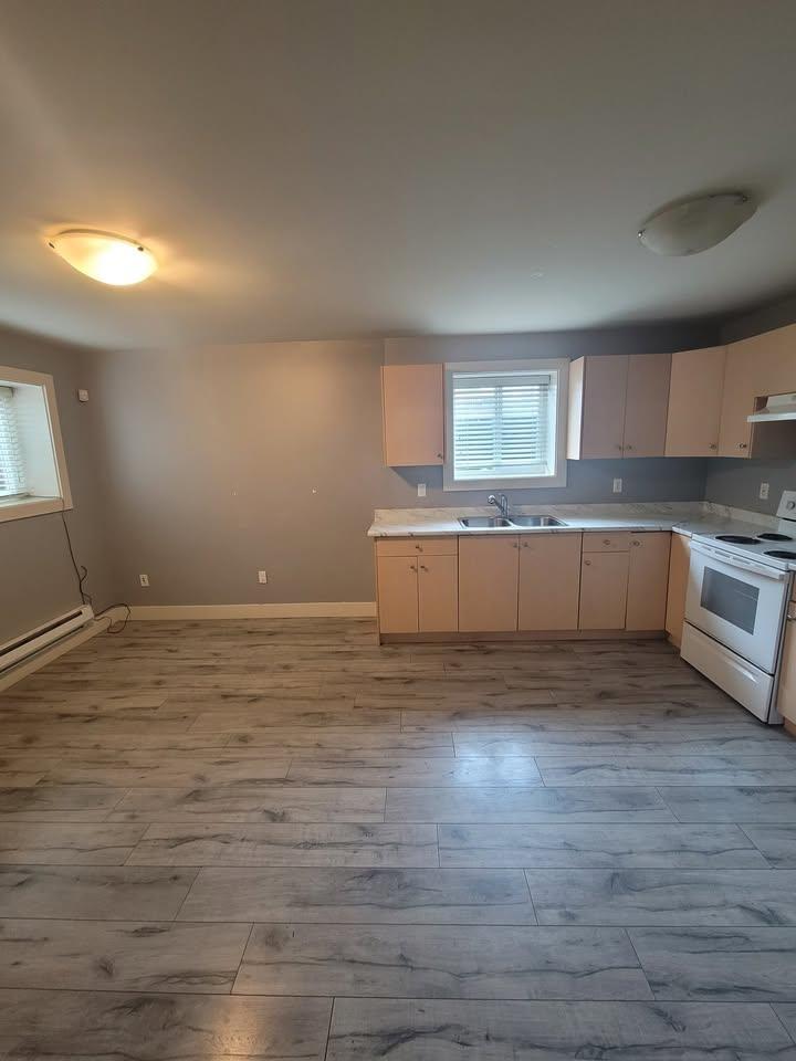 Lower 10595 159b Street, Surrey, British Columbia  V4N 3J4 - Photo 6 - R3176388
