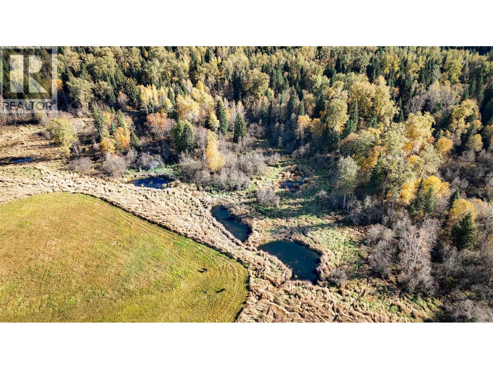 13226 31 Highway, Meadow Creek, British Columbia  V0G 1N0 - Photo 5 - 10403915