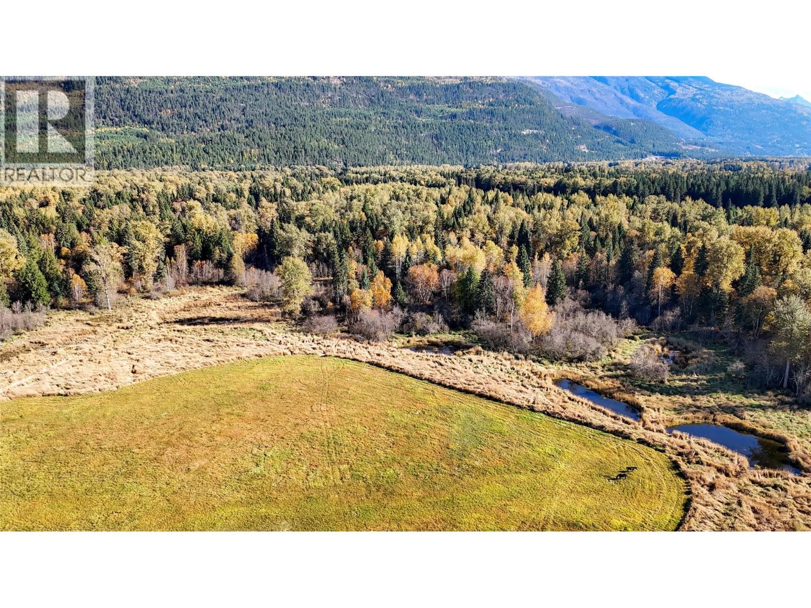 13226 31 Highway, Meadow Creek, British Columbia  V0G 1N0 - Photo 12 - 10403915