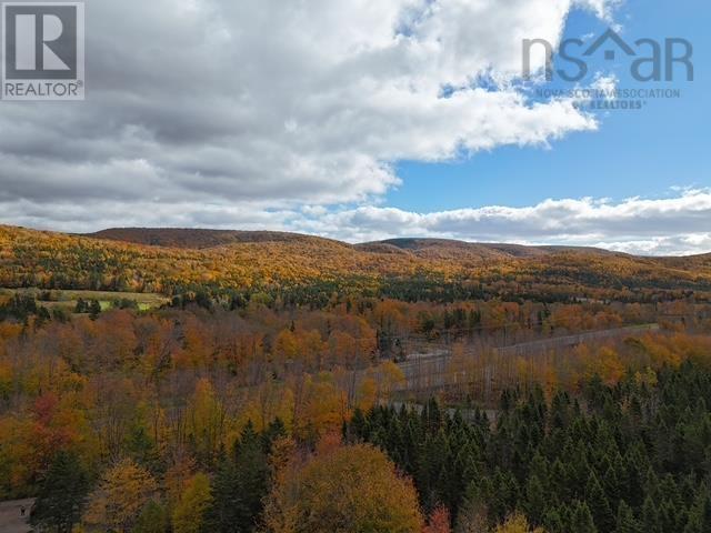 West Middle River Road, West Middle River, Nova Scotia  B0E 1B0 - Photo 2 - 202626094