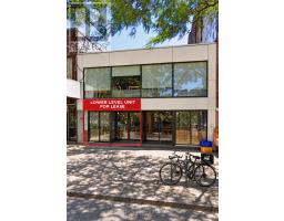 LOWER LEVEL - 261 SPADINA AVENUE, Toronto, Ontario