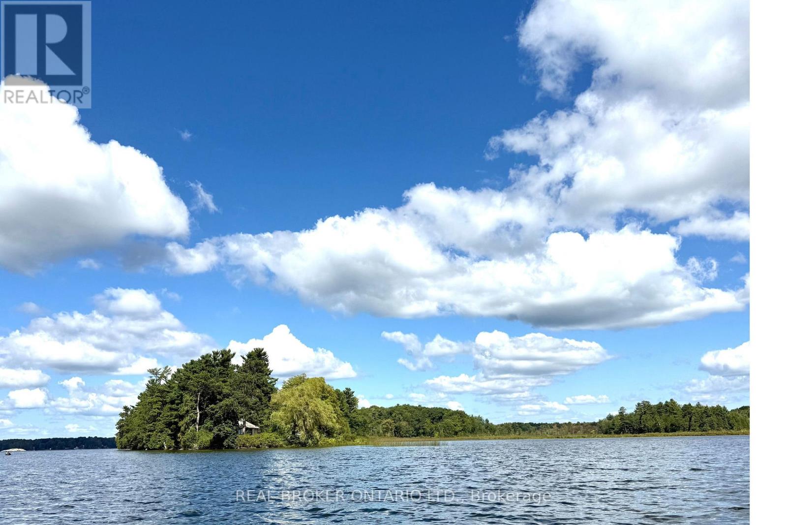 1 Butterfield Island, Rideau Lakes, Ontario  K0G 1L0 - Photo 33 - X14091884