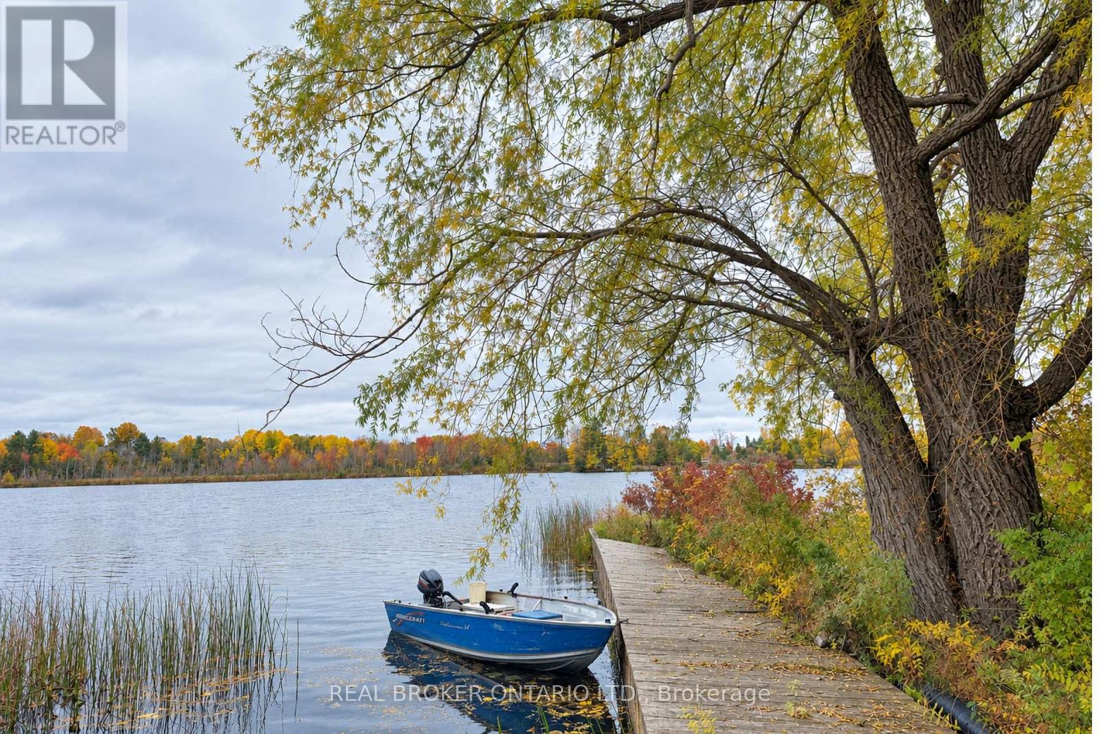 1 Butterfield Island, Rideau Lakes, Ontario  K0G 1L0 - Photo 4 - X14091884