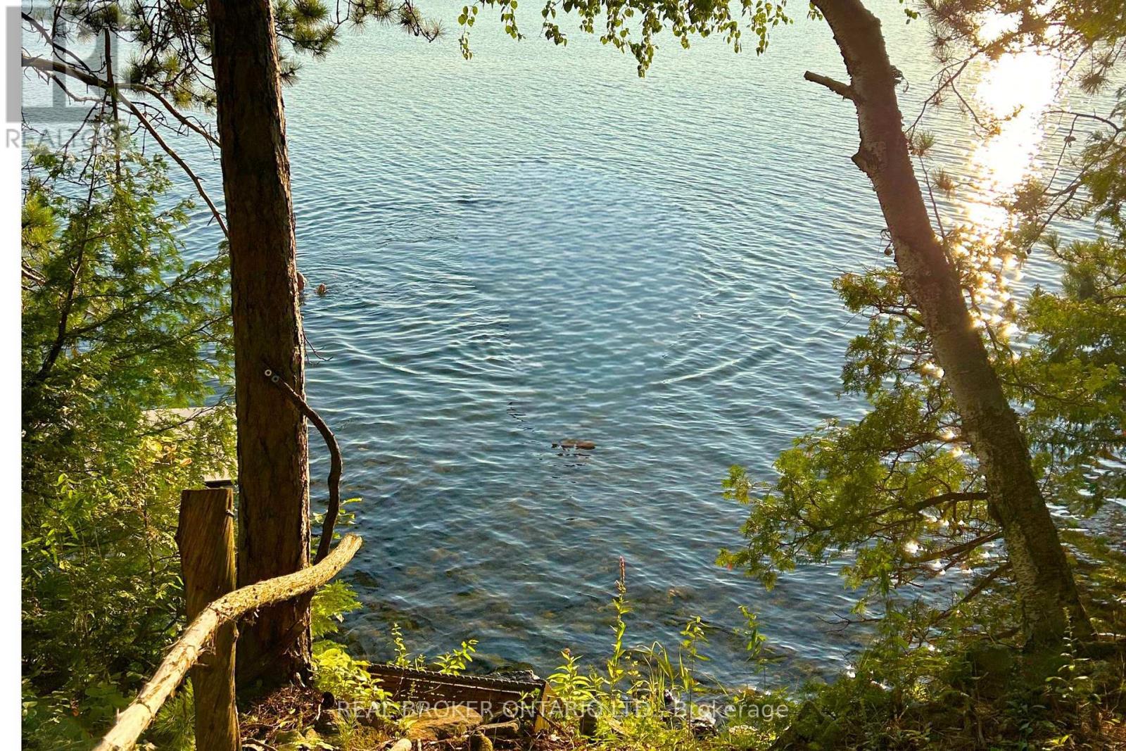 1 Butterfield Island, Rideau Lakes, Ontario  K0G 1L0 - Photo 40 - X14091884