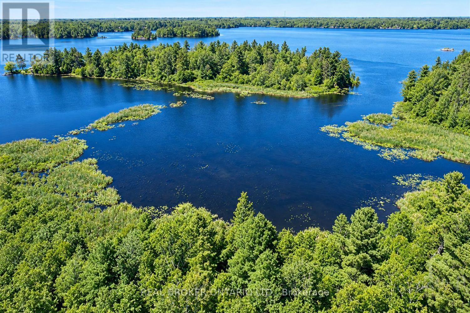 1 Butterfield Island, Rideau Lakes, Ontario  K0G 1L0 - Photo 44 - X14091884