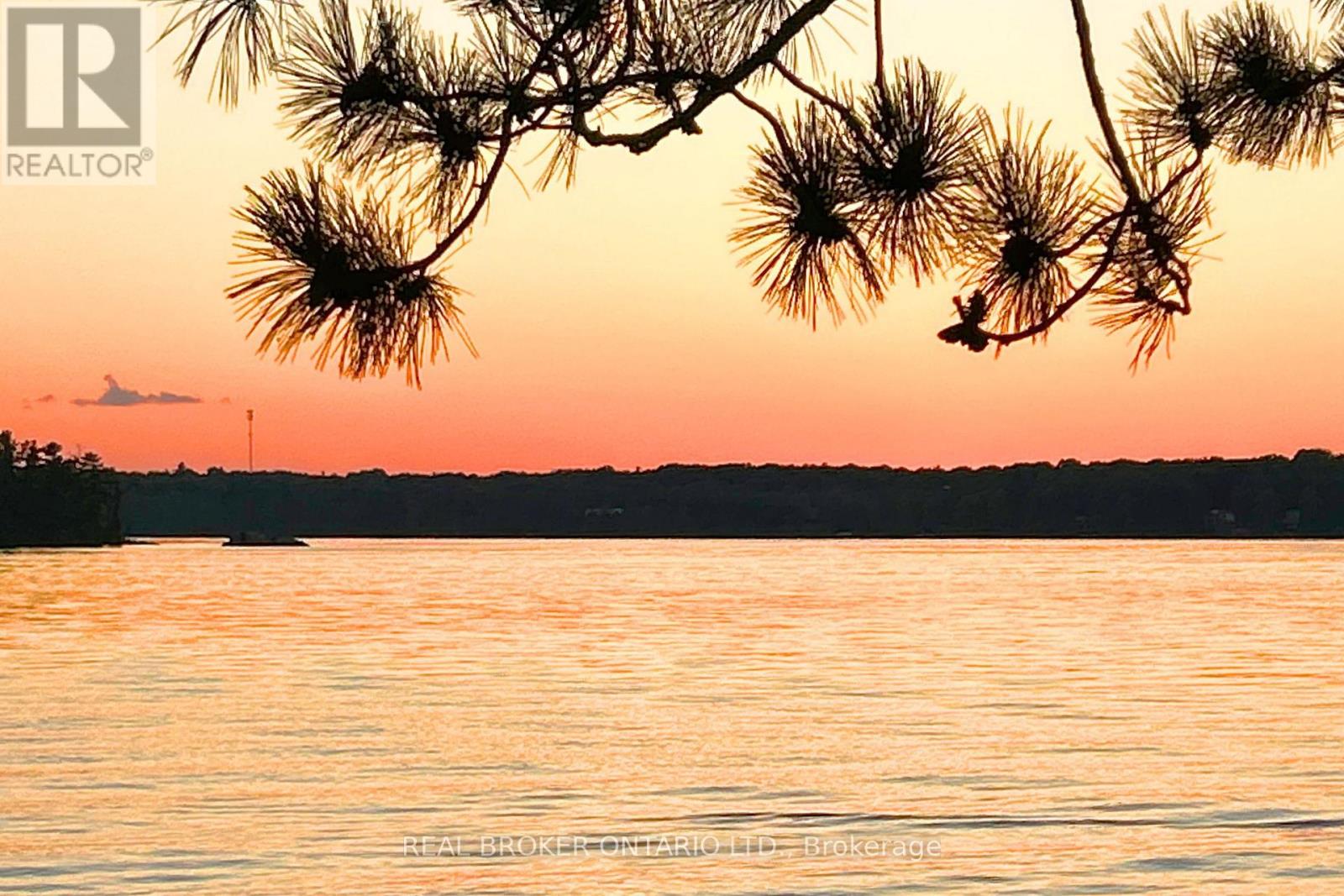 1 Butterfield Island, Rideau Lakes, Ontario  K0G 1L0 - Photo 48 - X14091884